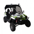 UTV Side By Side Off-Road 300